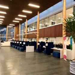 Vlaardingen City Hall - Vlaardingen