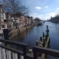 Vlaardingen Harbor - Vlaardingen
