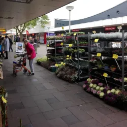 Vlaardingen Market Square - Vlaardingen