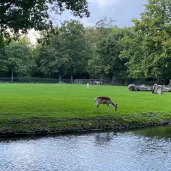Park Vreugd en Rust - Voorburg
