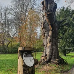 Park Vreugd en Rust - Voorburg