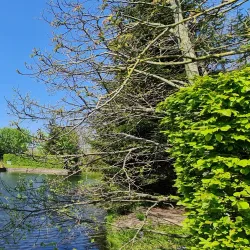 Voorburg Canal - Voorburg