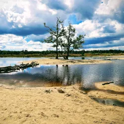 De Loonse en Drunense Duinen National Park - Waalwijk