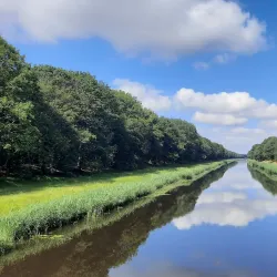 De Loonse en Drunense Duinen National Park - Waalwijk