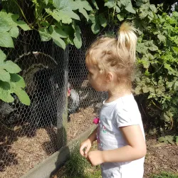 Museum De Klomp - Waalwijk