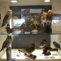 Museum De Klomp - Waalwijk