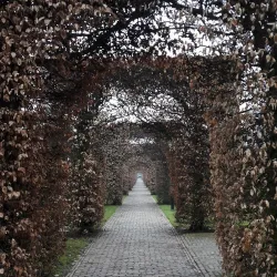 Waalwijk Canal Walks - Waalwijk