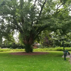 Waalwijk City Park (Stadspark Waalwijk) - Waalwijk