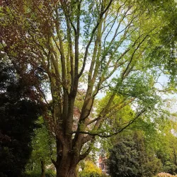 Waalwijk City Park (Stadspark Waalwijk) - Waalwijk