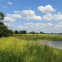De Blauwe Kamer Nature Reserve - Wageningen