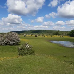 De Blauwe Kamer Nature Reserve - Wageningen