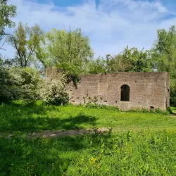 De Blauwe Kamer Nature Reserve - Wageningen
