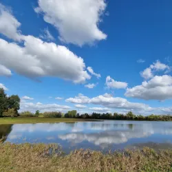 De Blauwe Kamer Nature Reserve - Wageningen