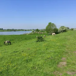 De Blauwe Kamer Nature Reserve - Wageningen