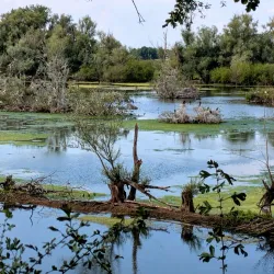 De Blauwe Kamer Nature Reserve - Wageningen