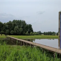 De Blauwe Kamer Nature Reserve - Wageningen