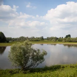 De Blauwe Kamer Nature Reserve - Wageningen