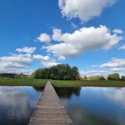 De Blauwe Kamer Nature Reserve - Wageningen
