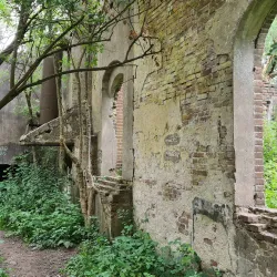De Blauwe Kamer Nature Reserve - Wageningen