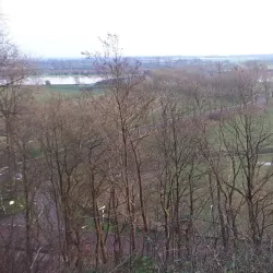 Wageningen Arboretum - Wageningen