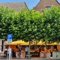 Wageningen Market - Wageningen