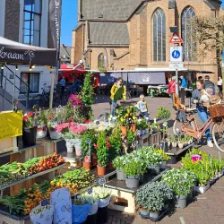 Wageningen Market - Wageningen