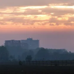 Wageningen Town Hall - Wageningen