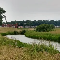 Wageningen Town Hall - Wageningen