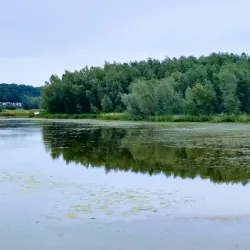 Wageningen Town Hall - Wageningen
