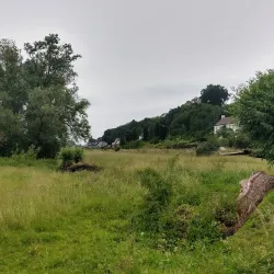 Wageningen Town Hall - Wageningen