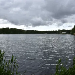 De IJzeren Man - Weert