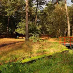 De IJzeren Man - Weert