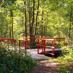 De IJzeren Man - Weert