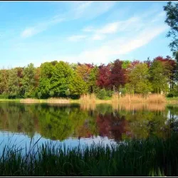 De IJzeren Man - Weert