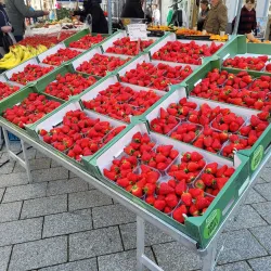 Weert Market - Weert
