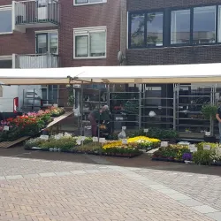 Zaandam Market - Zaandam