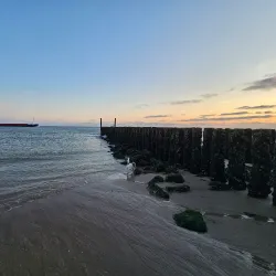 Paviljoen De Branding - Zandvoort