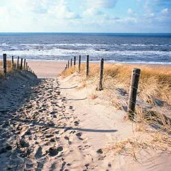 Zandvoort Beach - Zandvoort