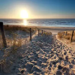 Zandvoort Beach - Zandvoort