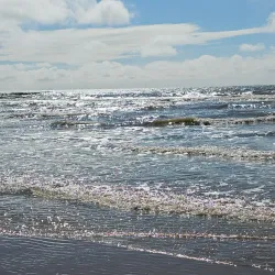 Zandvoort Beach - Zandvoort