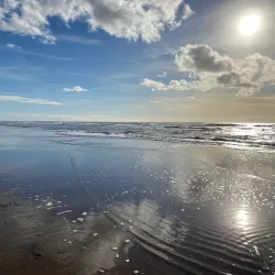 Zandvoort Beach - Zandvoort