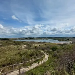 Zuid-Kennemerland National Park - Zandvoort