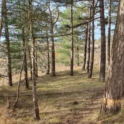 Zuid-Kennemerland National Park - Zandvoort