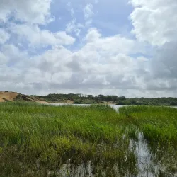 Zuid-Kennemerland National Park - Zandvoort