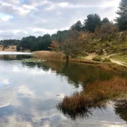 Zuid-Kennemerland National Park - Zandvoort