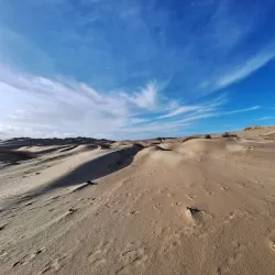 Zuid-Kennemerland National Park - Zandvoort