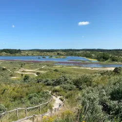 Zuid-Kennemerland National Park - Zandvoort