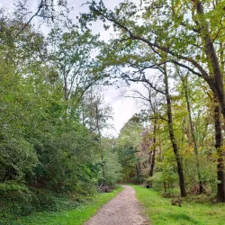 Zuid-Kennemerland National Park - Zandvoort