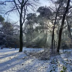 Boswachterij Zeist - Zeist