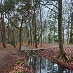 Boswachterij Zeist - Zeist